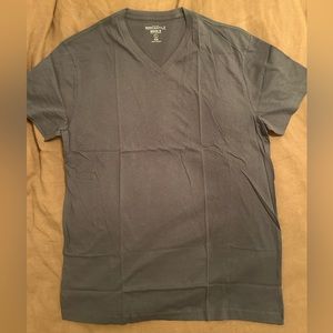Brand new J.Crew slim V-neck tshirt